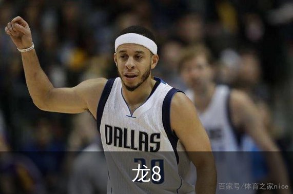 了解龙8